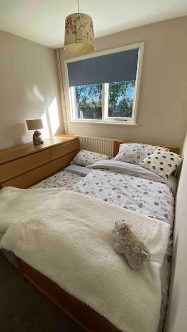Cheerful 3 Bedroom Bungalow With Indoor Fire Place 格洛斯特 外观 照片